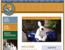 Tablet Screenshot of foxvalleyparsons.com
